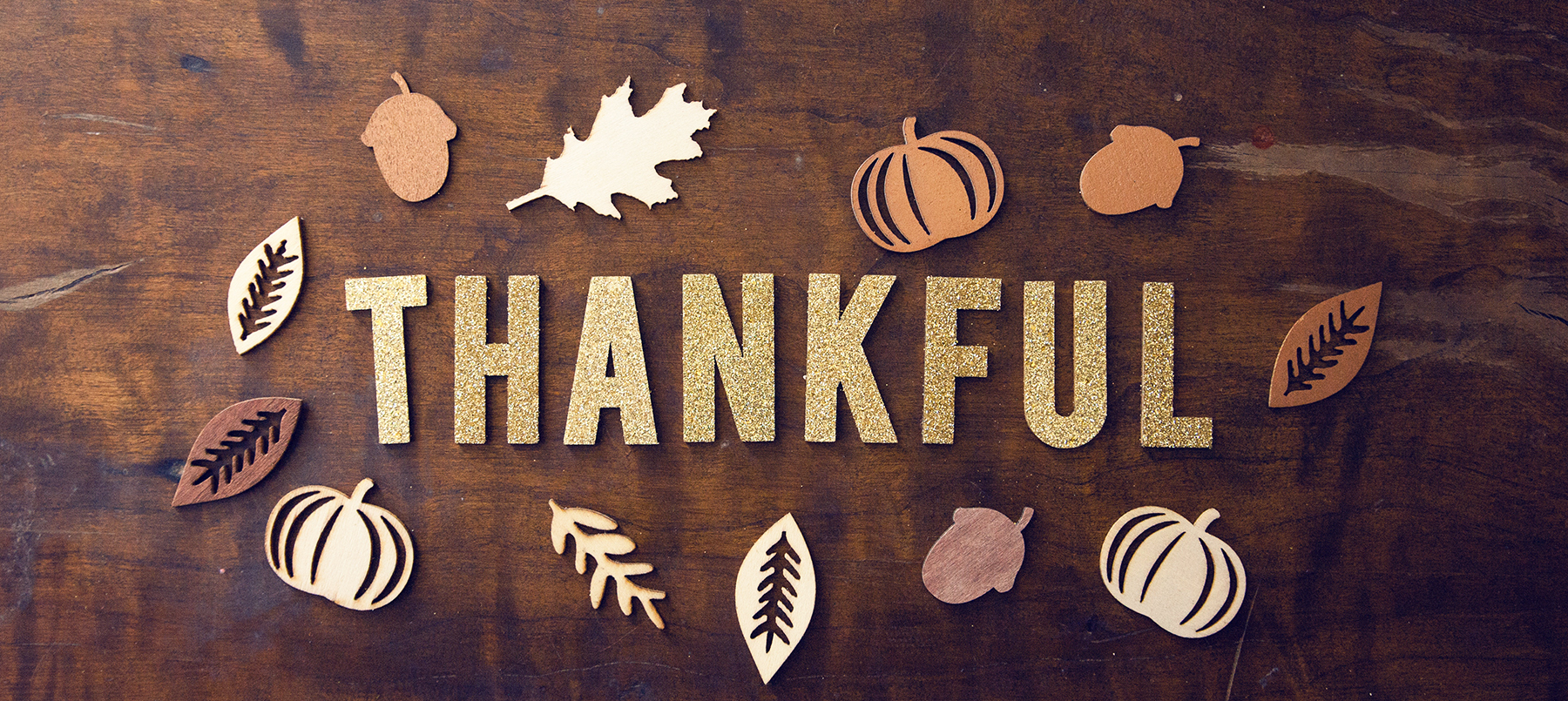 All the Things Canadians Have to be Thankful For - Moolala